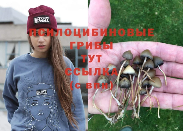 СК Беломорск