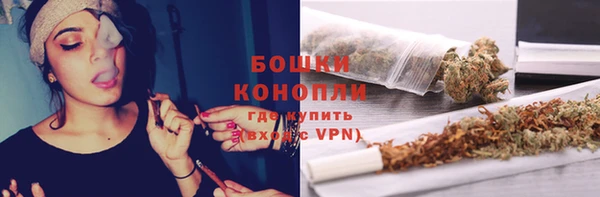 крисы Белокуриха
