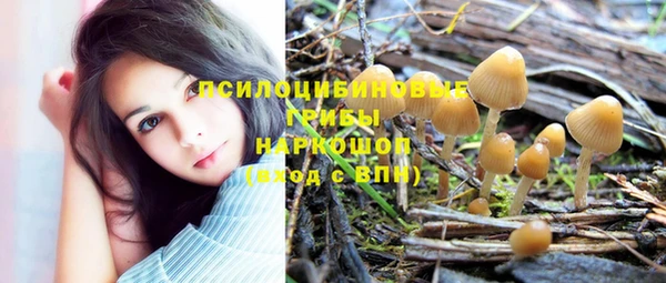дживик Белоозёрский