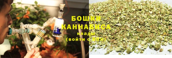 крисы Белокуриха