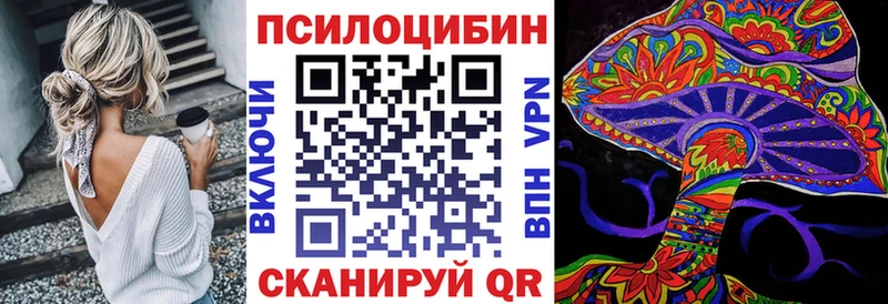 Псилоцибиновые грибы Cubensis  блэк спрут   Трёхгорный 