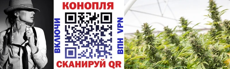 МАРИХУАНА White Widow  Трёхгорный 
